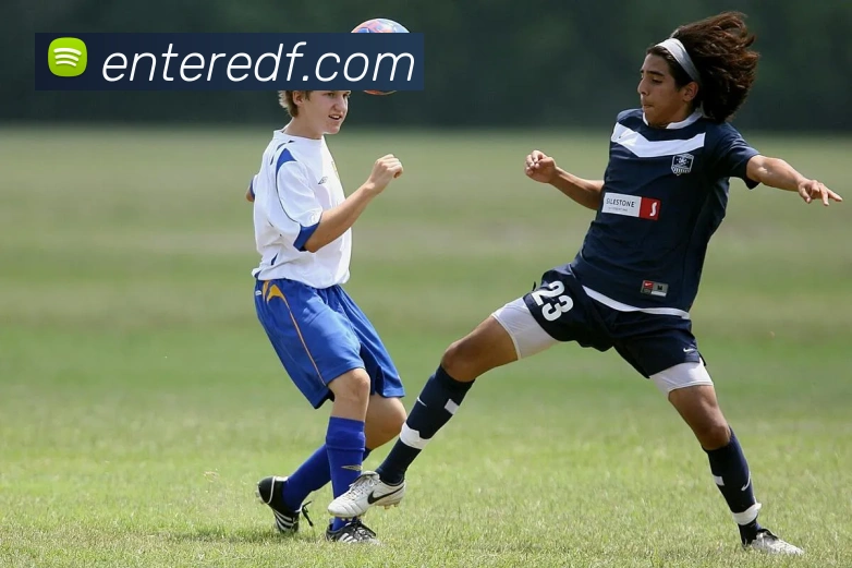 巅峰国际平台生态图