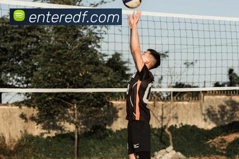 巅峰国际APP 封面图